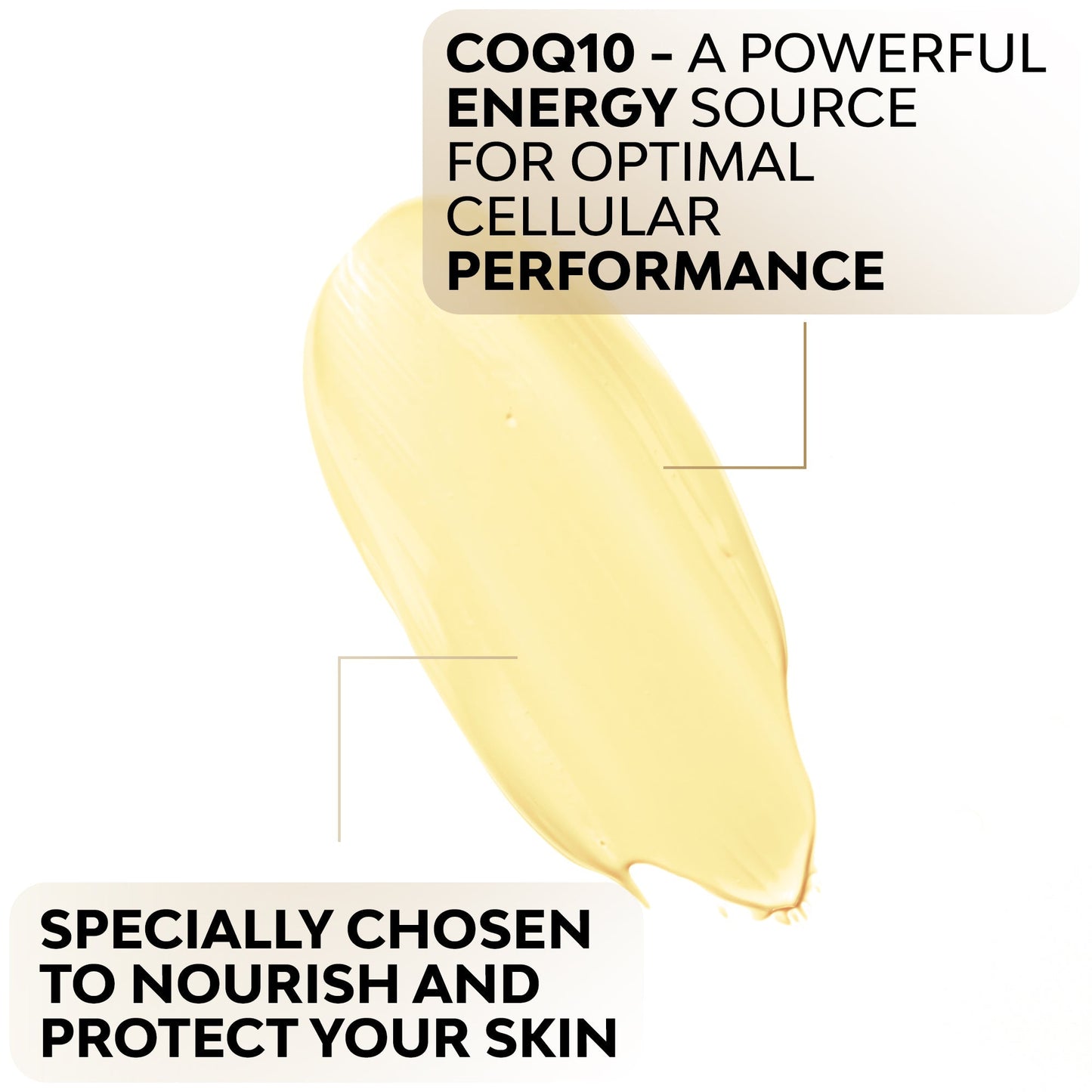 CoQ10 Age Defying Lotion Timeless Organics Skin Care