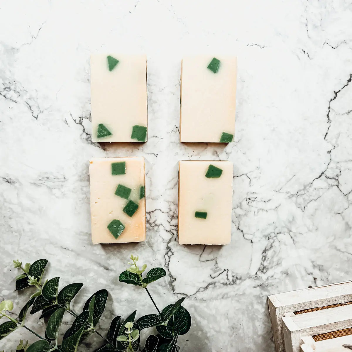 Avocado-Olive-Sunflower-Lemon OyeraCharisma