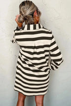 Contrast Striped Johnny Collar Long Sleeve Mini Dress - Plush Fashion Hub