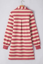 Contrast Striped Johnny Collar Long Sleeve Mini Dress - Plush Fashion Hub