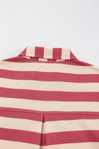 Contrast Striped Johnny Collar Long Sleeve Mini Dress - Plush Fashion Hub