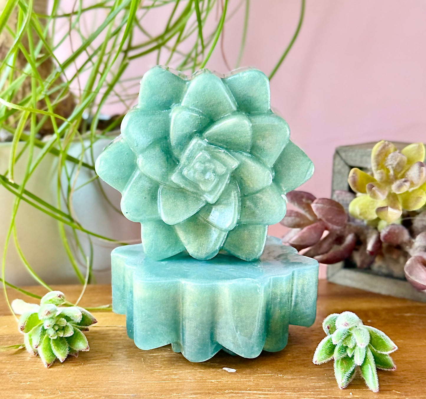 🌿 Evergreen Succulent – Vetiver & Bergamot UnTamed Naturals