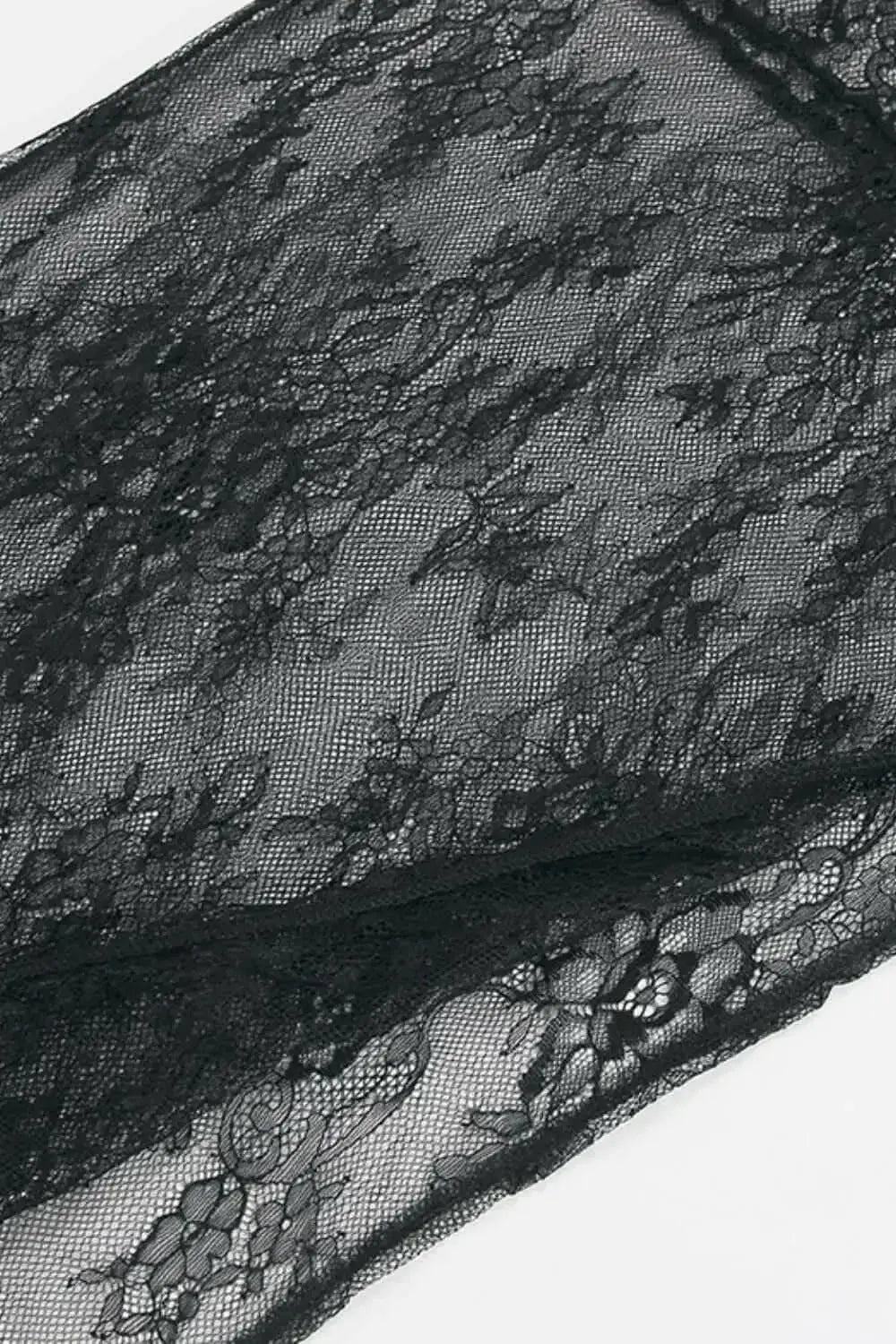 Fringe Round Neck Long Sleeve Lace Sheer Top - Plush Fashion Hub