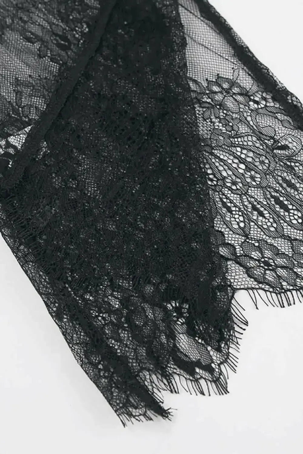 Fringe Round Neck Long Sleeve Lace Sheer Top - Plush Fashion Hub